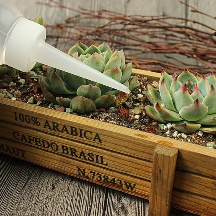 Succulent Squeeze Watering Bottle