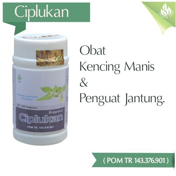 Kapsul Ciplukan Tazakka 60 Kapsul Obat Diabetes