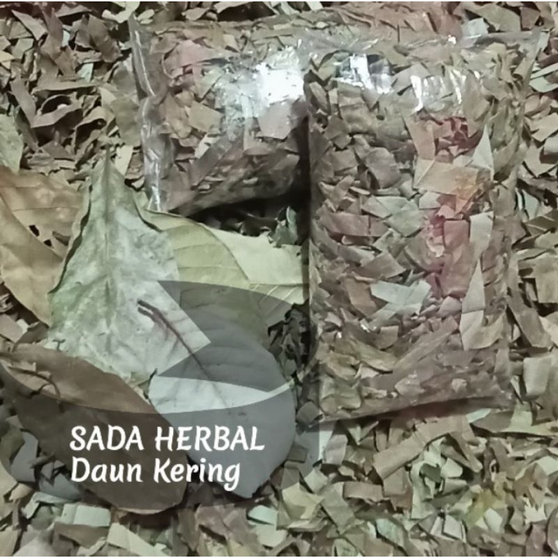 Jual Daun Bungur Kering Siap Rebus Per Bungkus Murah Shopee Indonesia