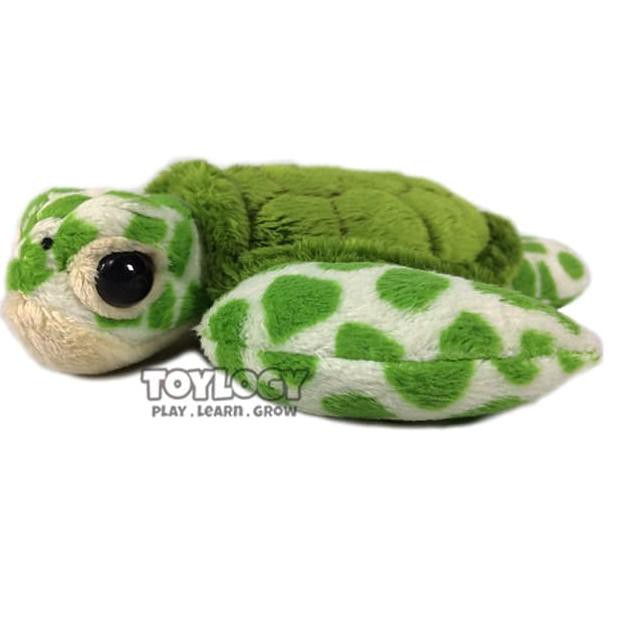 480 Koleksi Download Gambar Hewan Kura Kura Gratis