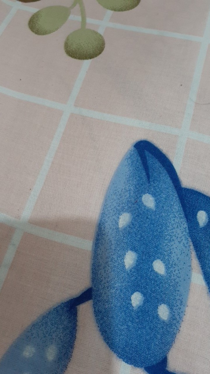 Dispenser Air Sahara Lion Star 12 L