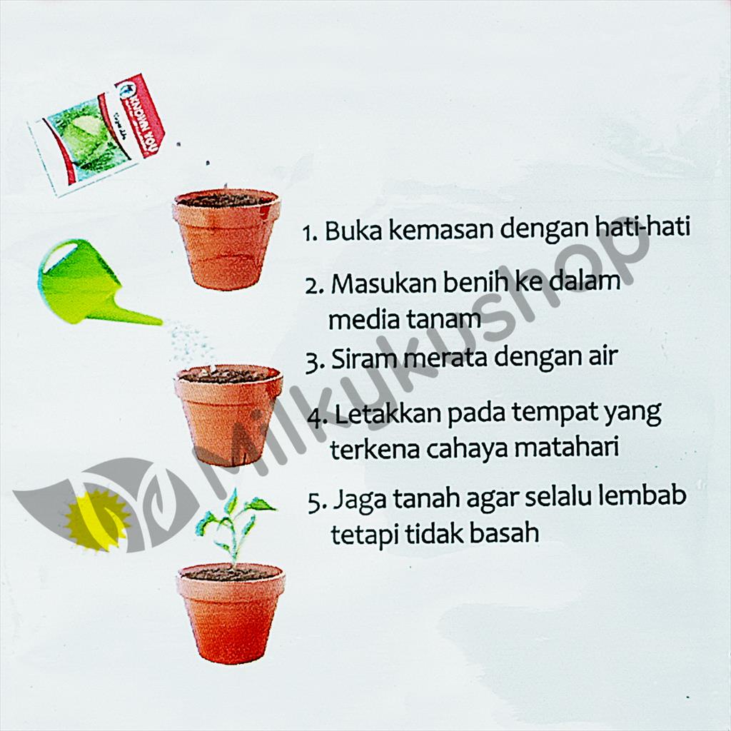 BENIH KYS KNOWN YOU SEED TERONG F1 HIJAU KUAT 80 BIJI KP