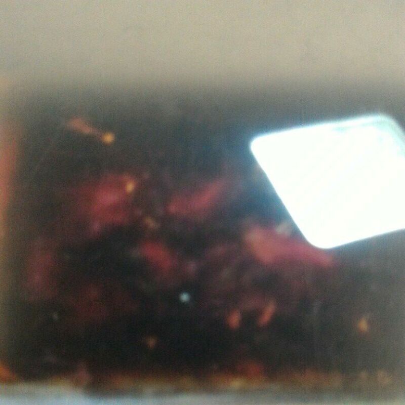 

qurma madu hotpres zimbabwe