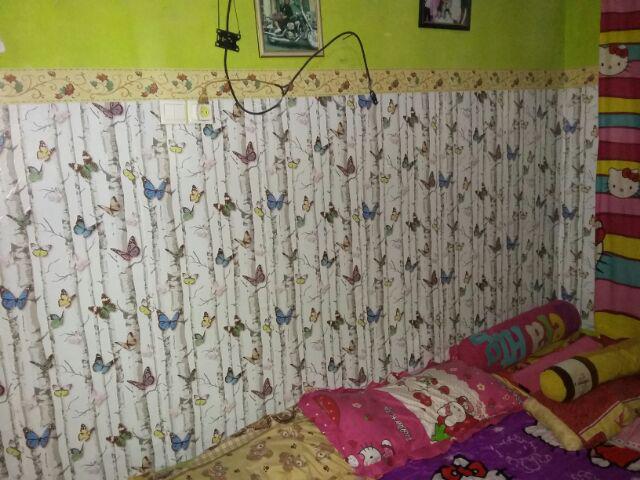 C022ls Wallpaper Sticker Ku - Cute Kupu Kupu Wallpaper Dinding