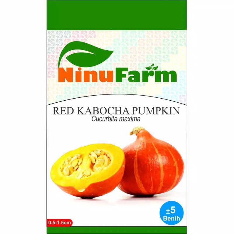 BENIH LABU KABOCHA MERAH / BIBIT RED KABOCHA PUMPKIN