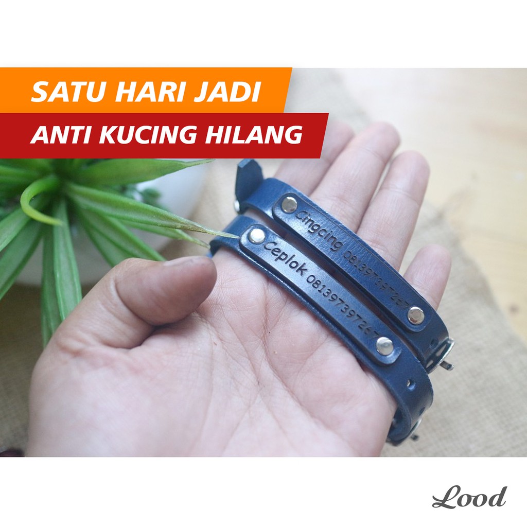 LOOD KALUNG KUCING KULIT CUSTOM NAMA - TAG DI TALI