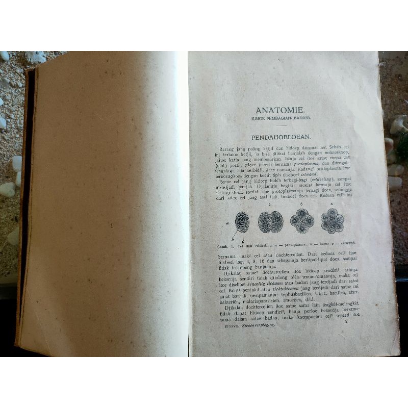 Buku Kedokteran Lawas