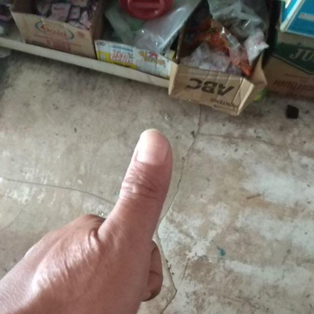 Pipa Pvc 4 Inch Wavin D 50 Cm