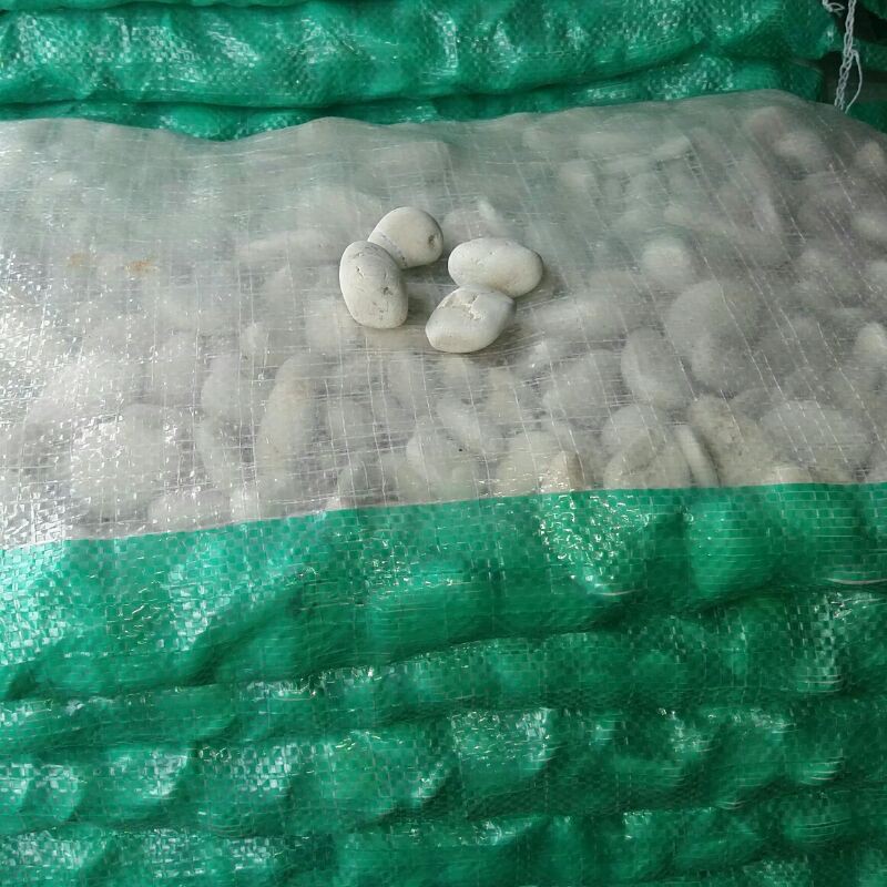 batu koral putih hiasan taman kering