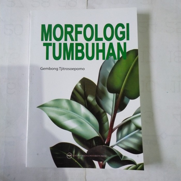 Morfologi Tumbuhan - Gembong T