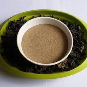 

Daun Binahong Bubuk 500 gram Asli Murni Alami Kwalitas Bagus