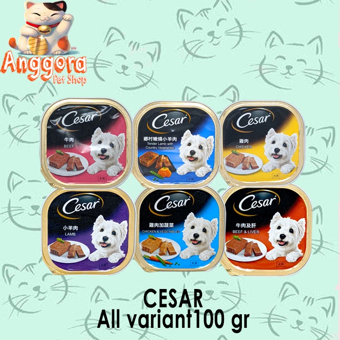 Makanan Anjing Cesar all variant 100 gr