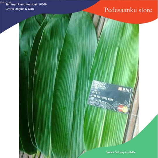 

Daun Bambu segar - Daun bambu Besar Khusus Bakcang 500gr