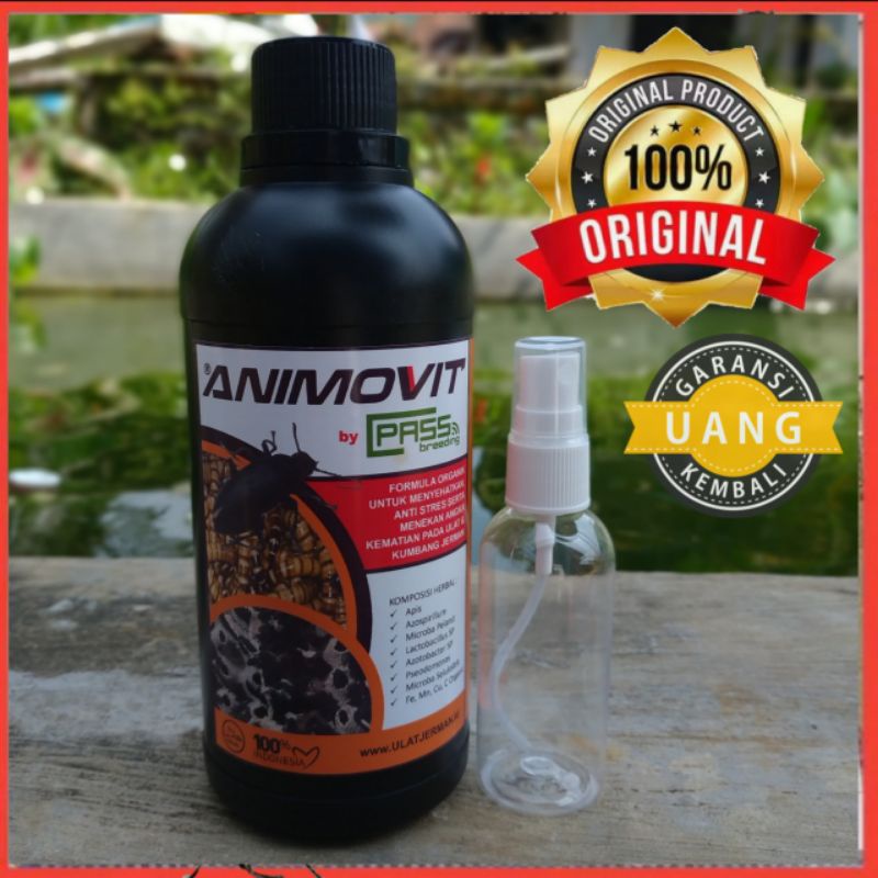 VITAMIN ULAT DAN KEPIK ULAT HONGKONG ULAT JETMAN ULAT KANDANG