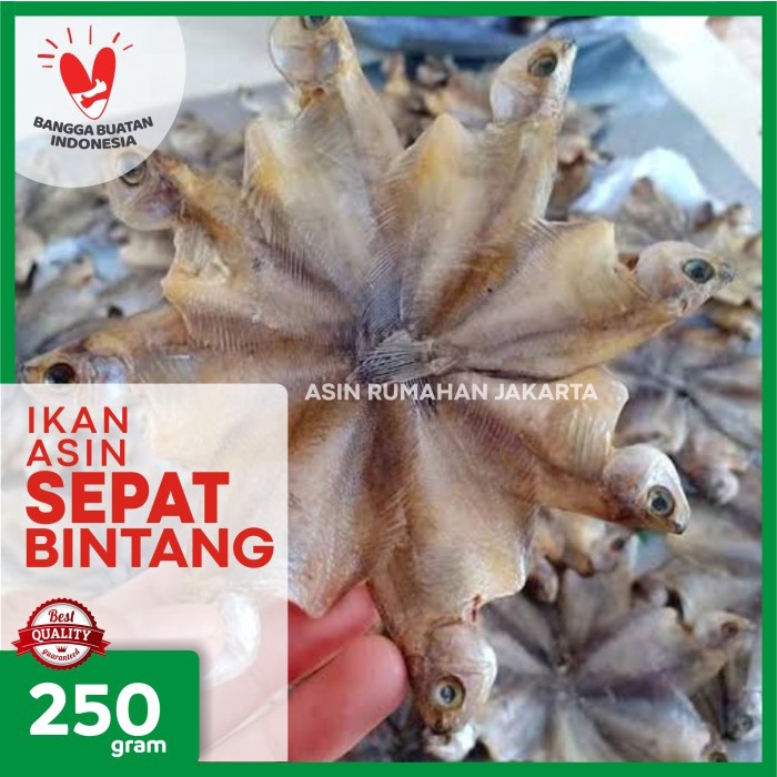 

PROMO Ikan Asin Sepat Bintang 250 Gram / Ikan Sepat / Ikan Asin