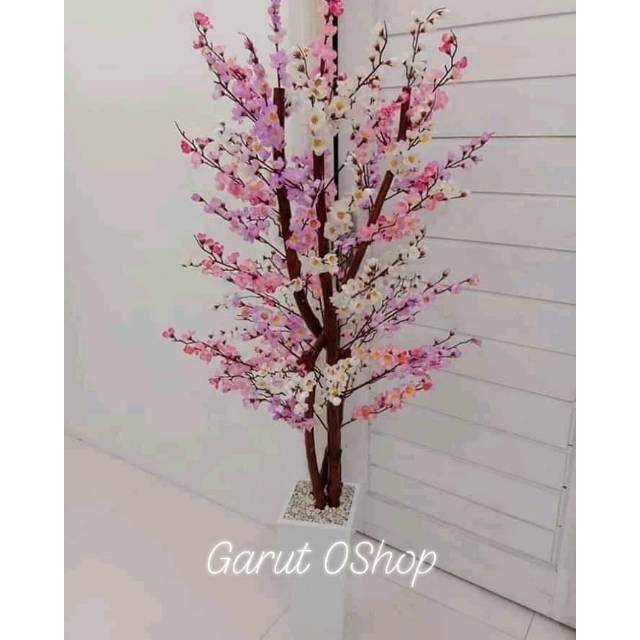 

Bunga Sakura