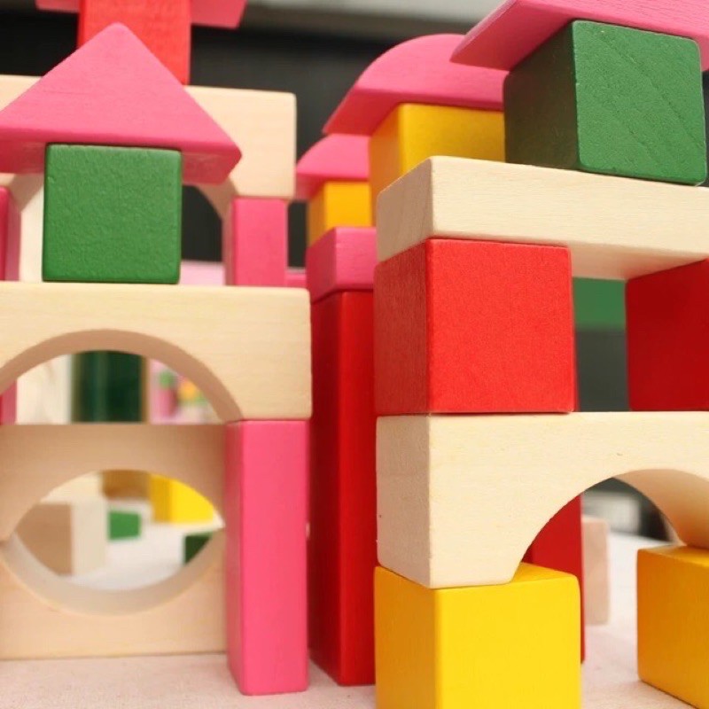 Elc wooden bricks 100 blocks - mainan balok anak - mainan edukasi anak - hadiah anak cowok cewek