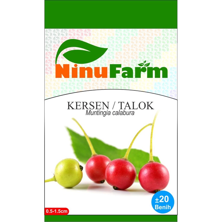 Benih Kersen/Talok 20Seeds