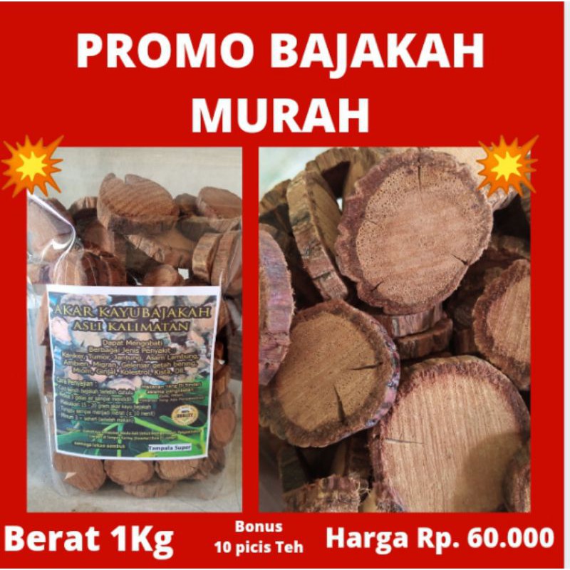 

Bajakah tampala super asli kalimantan