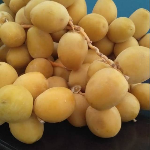 

Kurma muda kuning