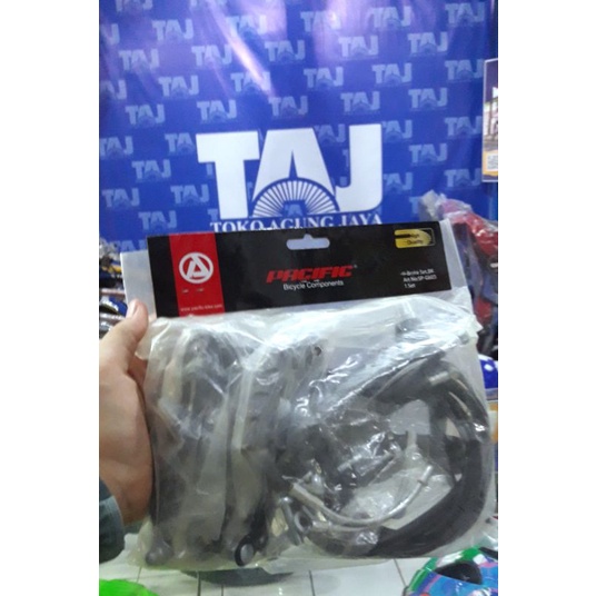 REM Pacific Rem Sepeda V Brake