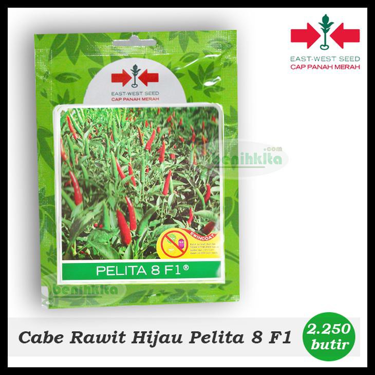 BENIH/BIBIT CABE RAWIT HIJAU PELITA 8 F1 (CAP PANAH MERAH)