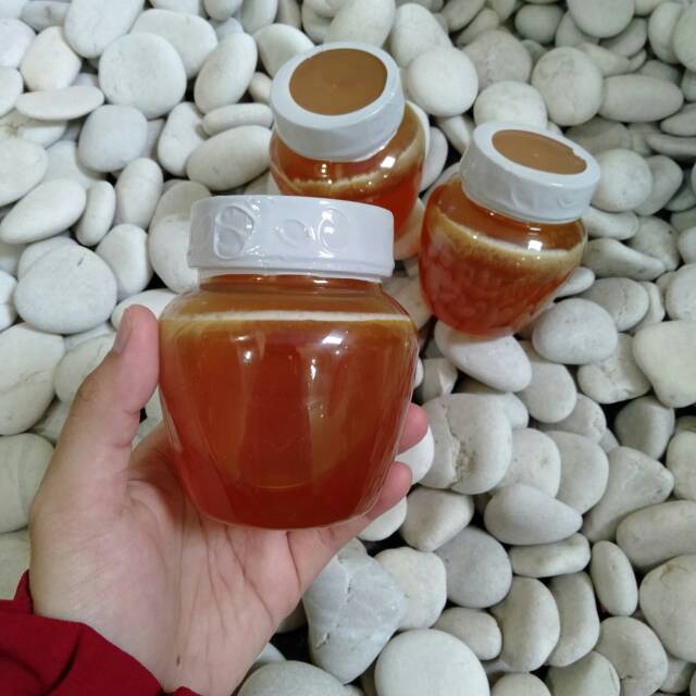 

Madu Hutan