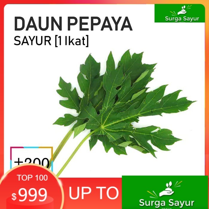 

SURGA SAYUR DAUN PEPAYA SAYUR [1 Ikat ] SEJABODETABEK BISA INSTANT MENGGUNAKAN GOSEND &GRAB.