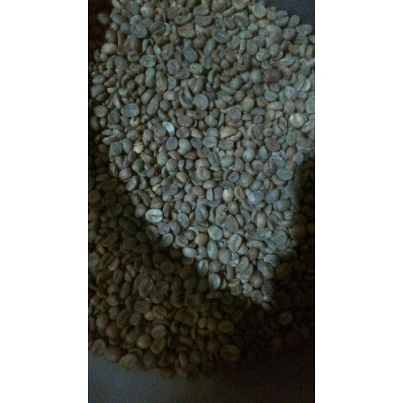 

Grean beans (kopi robusta Garut)