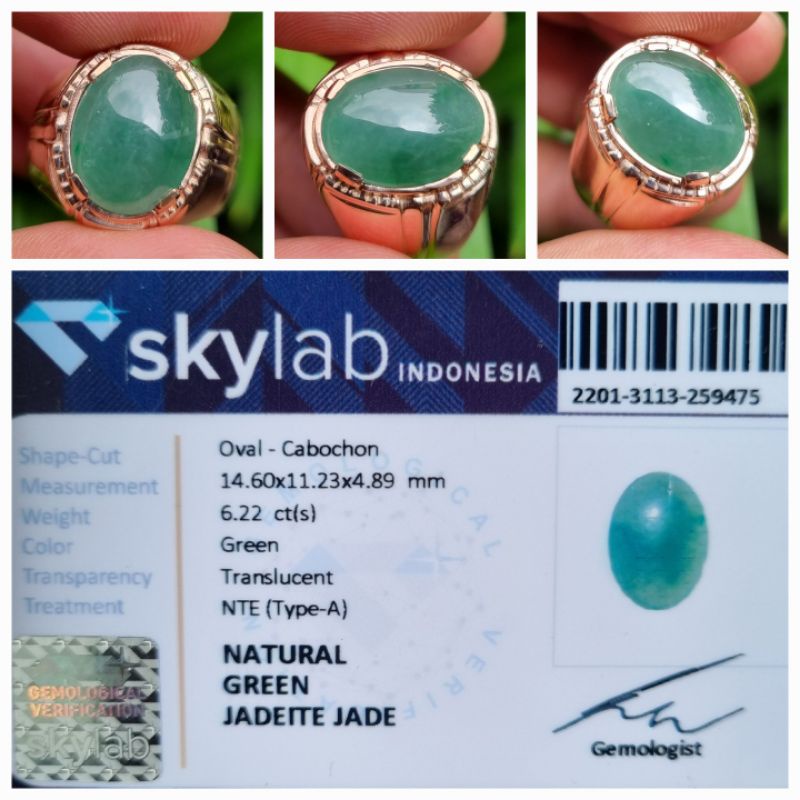 Natural Giok Burma Jadeite Jade Type A Myanmar Memo 6.22 crt