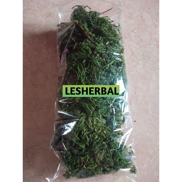 

daun cakar ayam kering 100gram