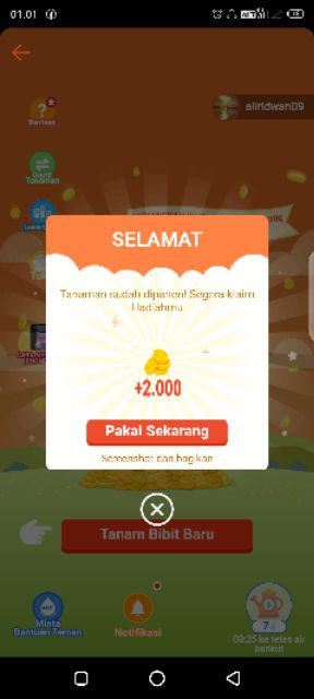 Handle Pintu Rumah Kotak 4x2cm 45 Cm Kayu Mahoni Maron Kmb Ss Tarikan Pintu Gagang Pintu Kunci Pintu