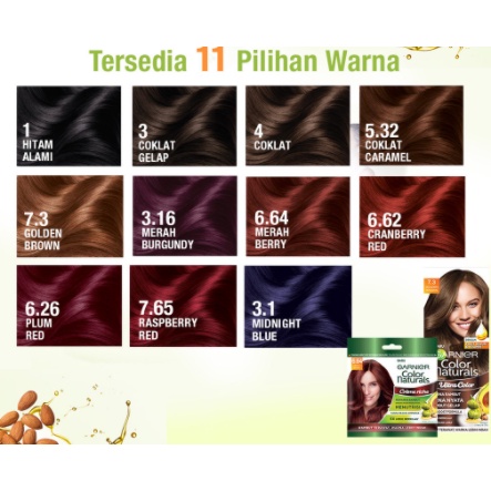 Garnier Color Naturals Express Hair Color Sachet | Garnier Color Naturals  Pewarna Rambut | Cat Rambut Natural