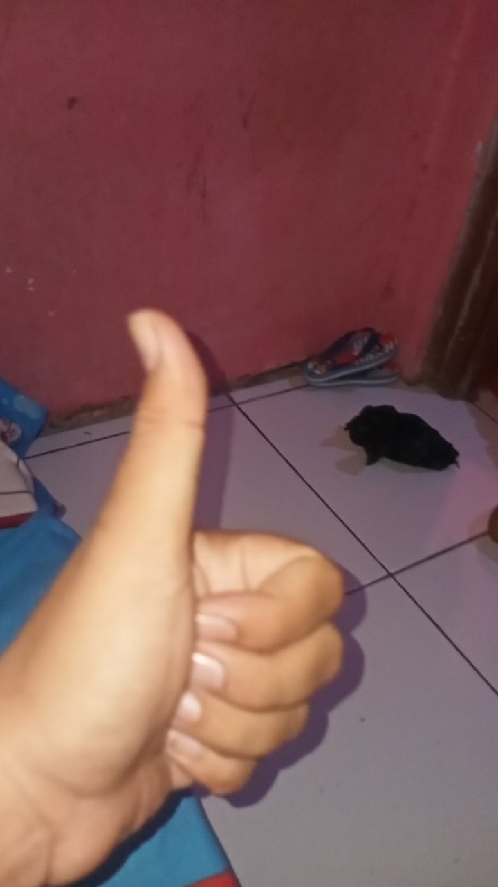 Batik Jumbo Big Size Jumbo Xxl Xxxl 3l 4l 5l Murah Batik Jumbo Couple m,l,xl,xxl,xxxl,xxxxl,xxxxxl