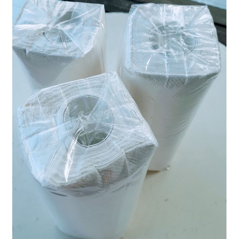 Paseo tissue minyak / tissue dapur / paseo Kitchen towel isi 2 roll-3