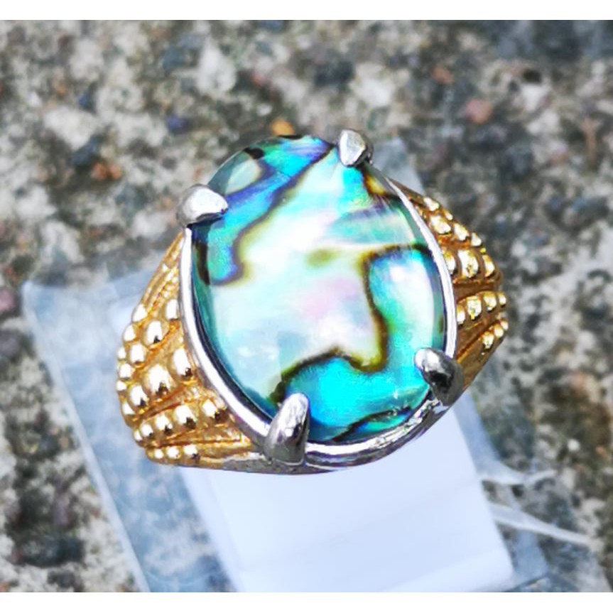 Natural Batu Akik Kerang Laut Top Colour