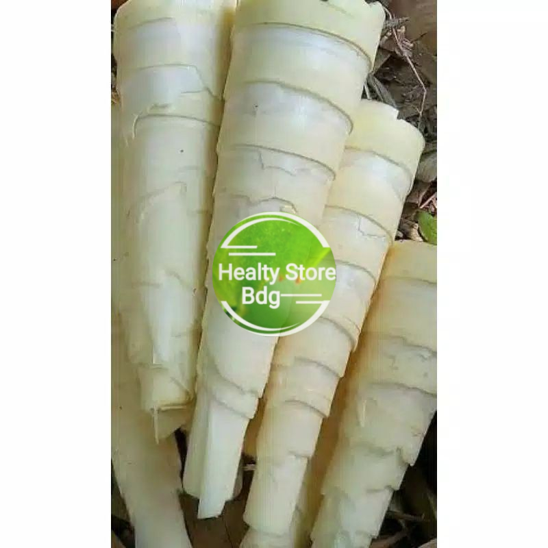 

Rebung bambu segar sudah kupas paket 2 kg