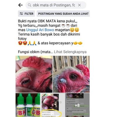 Kekinian Obat Mata Ayam Obat Mata Burung , Obk Mata, Obk Mata Ayam ~