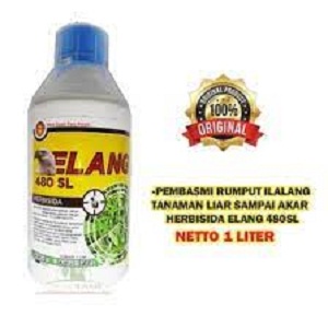 Elang 1L 480Sl herbisida
