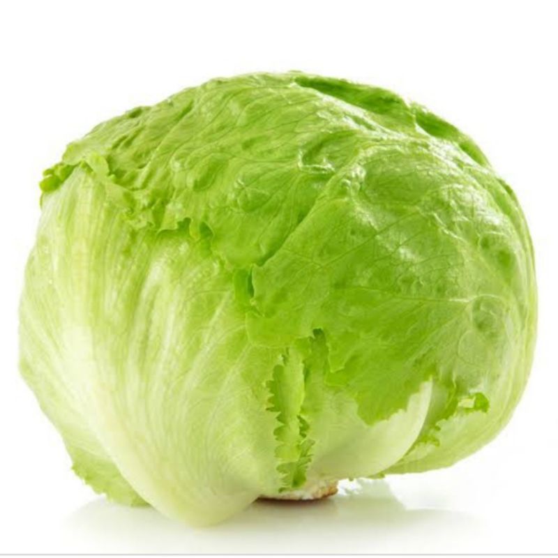 

lettuce head 500gram