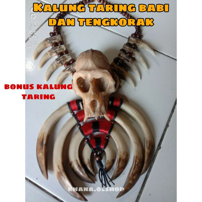 Kalung Etnik Taring Babi Dan Tengkorak monyet Dayak Pria Wanita