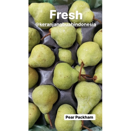 

Buah Segar Pear Hijau Packham, Fresh Fruit Pear Packham