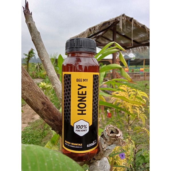 

BEE MY HONEY madu multiflora 250 mL