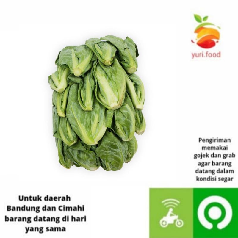 

Keciwis 250 gr (Cimahi satu hari sampai)