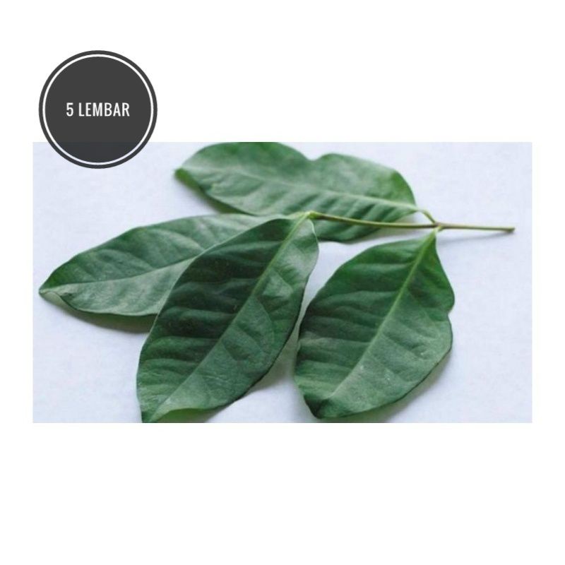 

Daun Salam