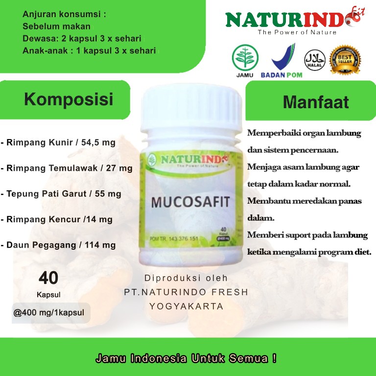 Obat Asam Lambung Herbal Maag Magh Kronis Gerd Anxienty Paling Ampuh Obat Lambung Kapsul-7