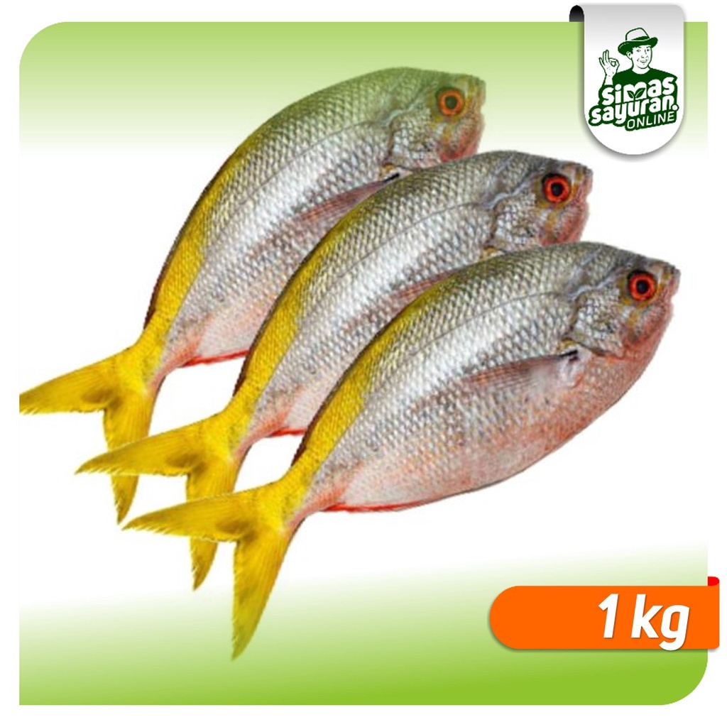 

Ikan Ekor Kuning 1 kg