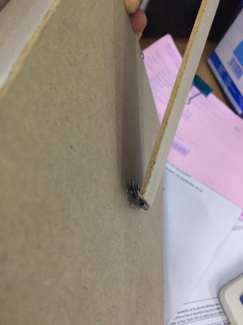 Scrap Frame 3d Paket Hemat Kado Wisuda