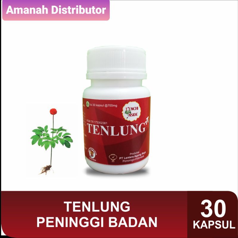 Tenlung Peninggi Badan (Tenlung TT) Isi 30 Kapsul