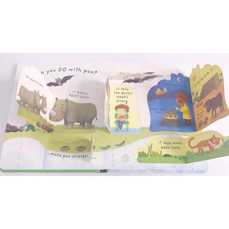 Usborne lift the flap what is poo - buku import anak